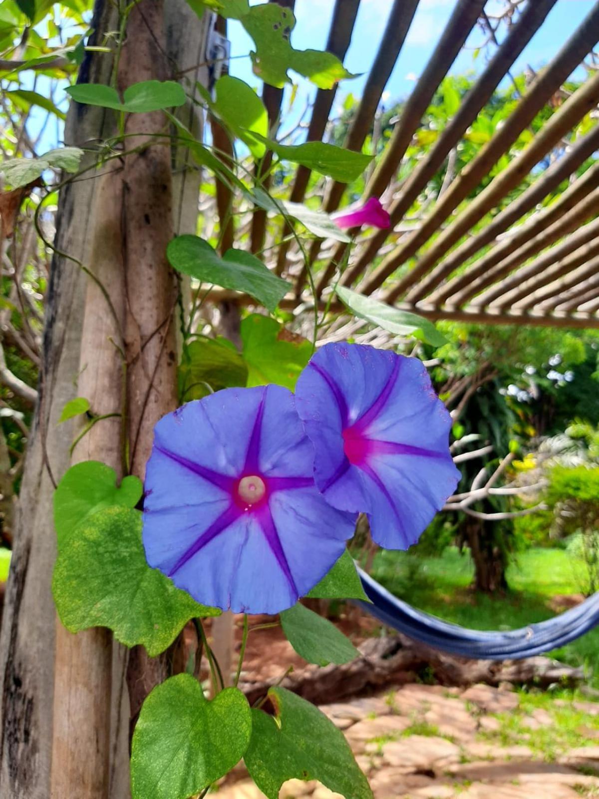 Pousada Paralelo 14 Alto Paraíso de Goiás Bagian luar foto