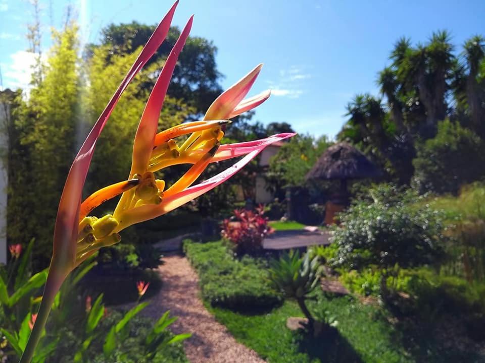 Pousada Paralelo 14 Alto Paraíso de Goiás Bagian luar foto